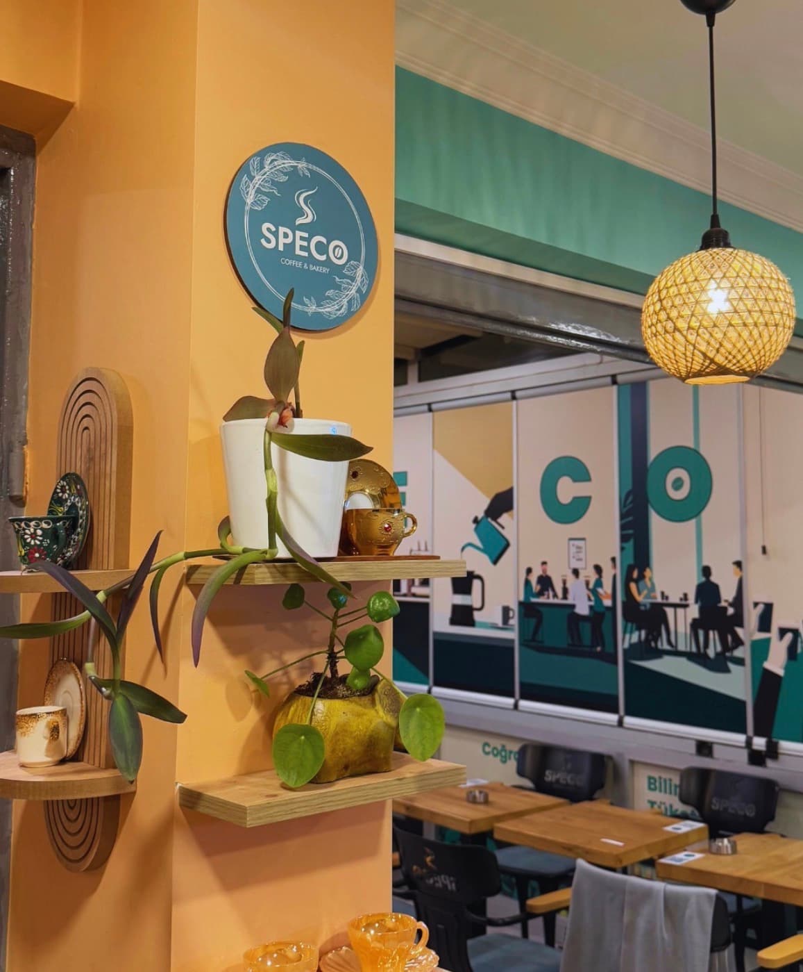 Speco Coffee