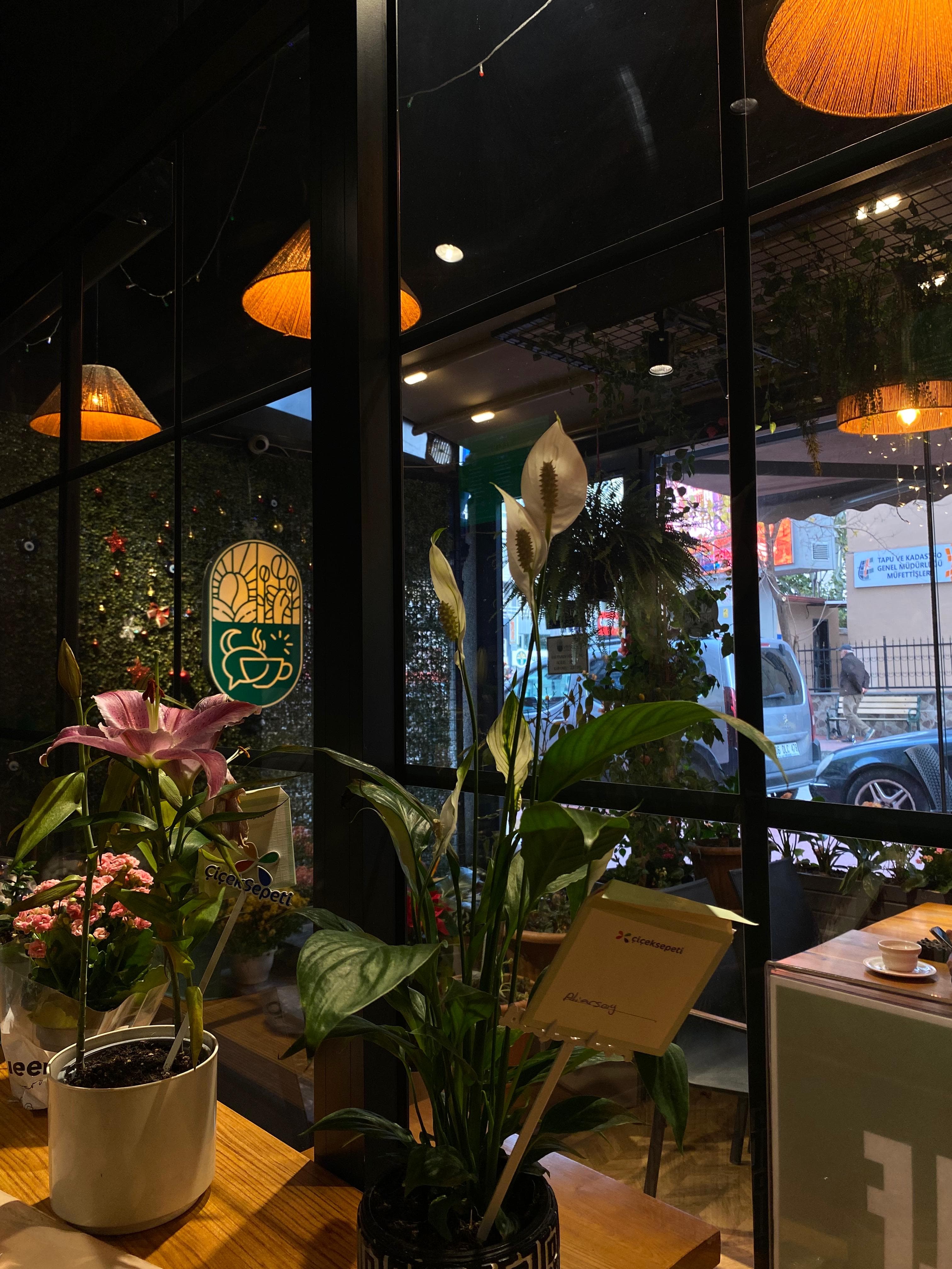Verte Coffee House